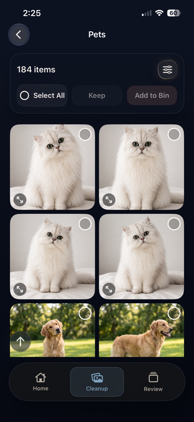 CleanLens Pets category, showing similar cat and dog photos with Keep and Add to Bin controls