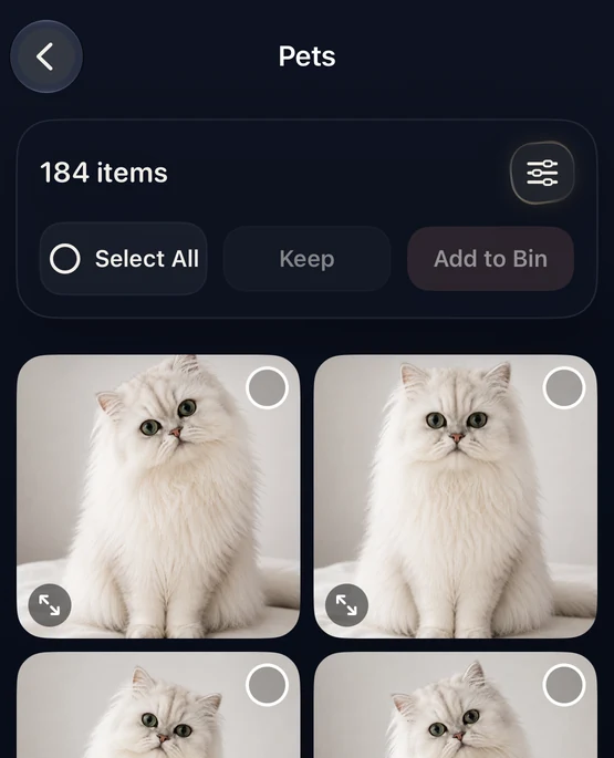 CleanLens Pets category showing similar cat photos with Select All, Keep, and Add to Bin controls.