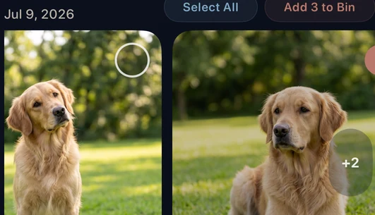 CleanLens groups two golden retriever photos as similar shots for comparison.
